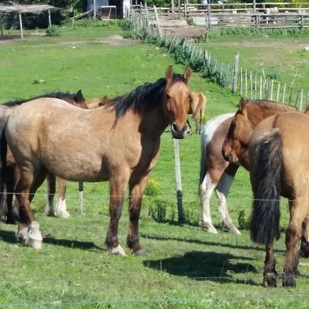 Estancia Turistica Don Joaquin Scavino Eksteriør bilde